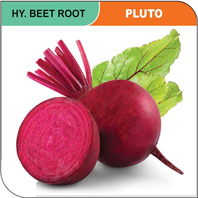 beet-root-pluto