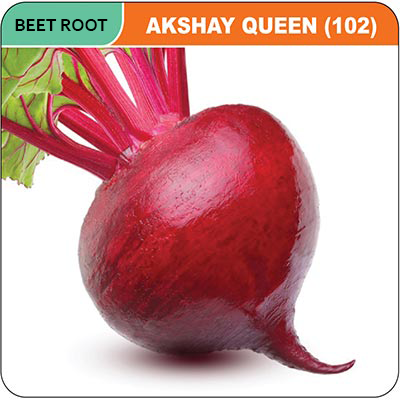 beet-root