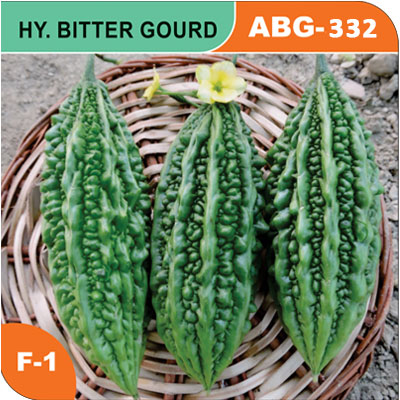 bitter-gourd-abg-332