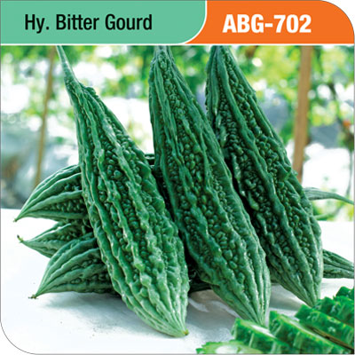 bitter-gourd-abg-702