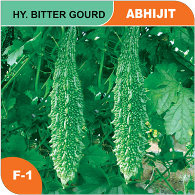 bitter-gourd-abhijit