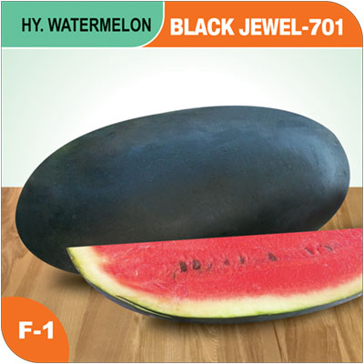 black-jewel-701
