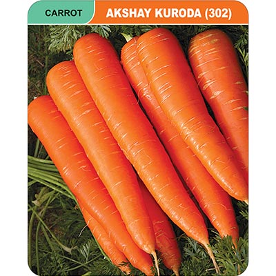 carrot0akshay-kuroda-302