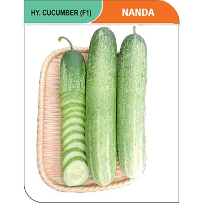 cucumber-nanda