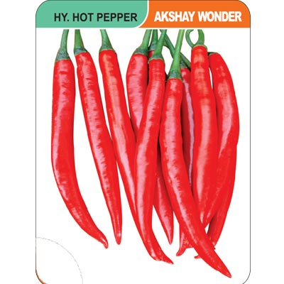 hot-pepper-akshay-wonder