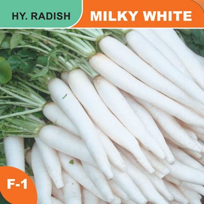 milky-white