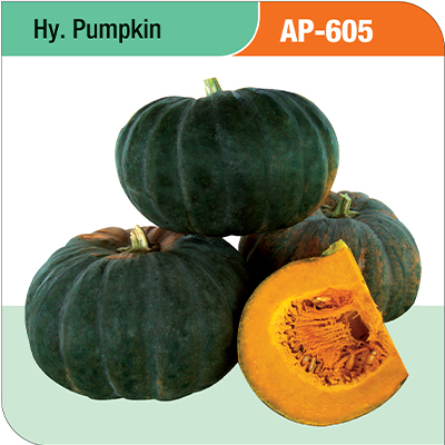 pumpkin-ap-605