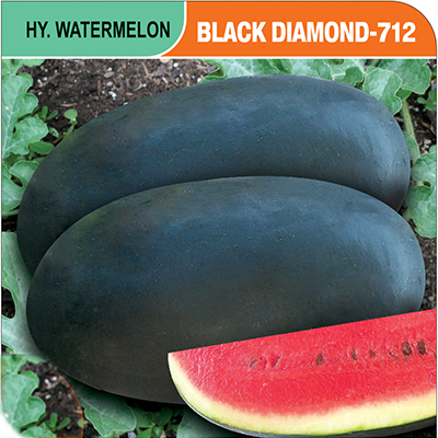 watermelon-black-diamond-712