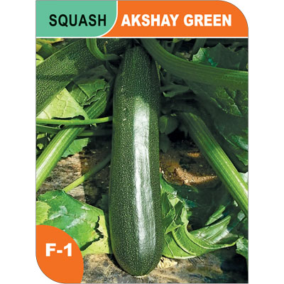 zuchhini-akshay-green