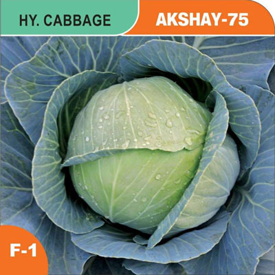 akshay-75
