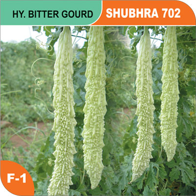 bitter-gourd-shubhra-702