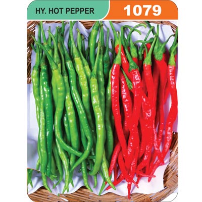 hot-pepper-1079