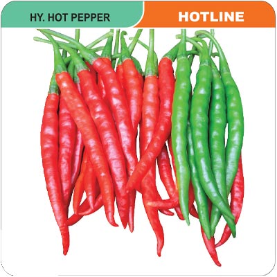 hot-pepper-hotline
