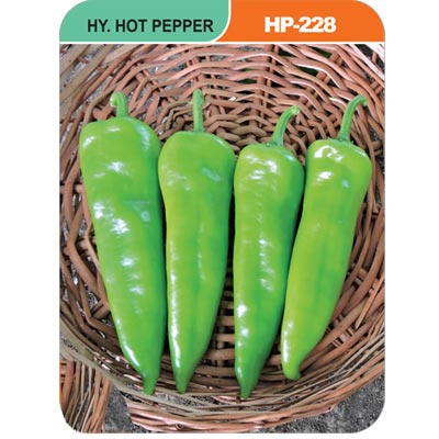 hot-pepper-hp-228