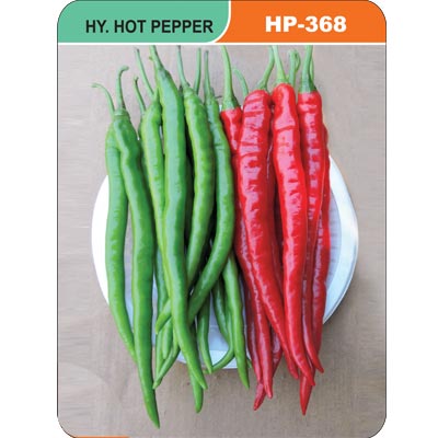hot-pepper-hp-368