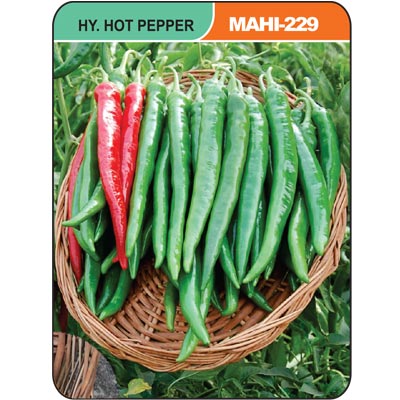 hot-pepper-mahi229