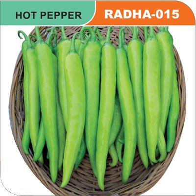 hot-pepper-radha
