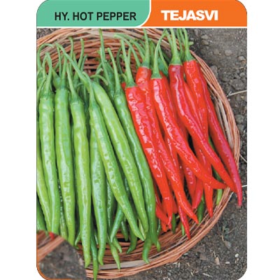 hot-pepperi-tejasvi
