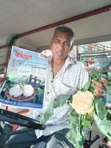 Himpari (114)