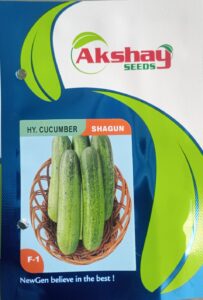 akshay seeds shagun cucumber packet