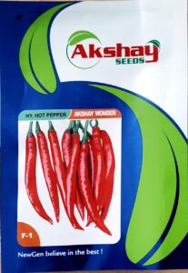 akshay seeds red chilli packet
