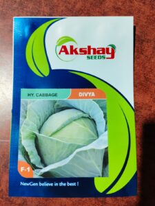 akshay seeds cabbage packet