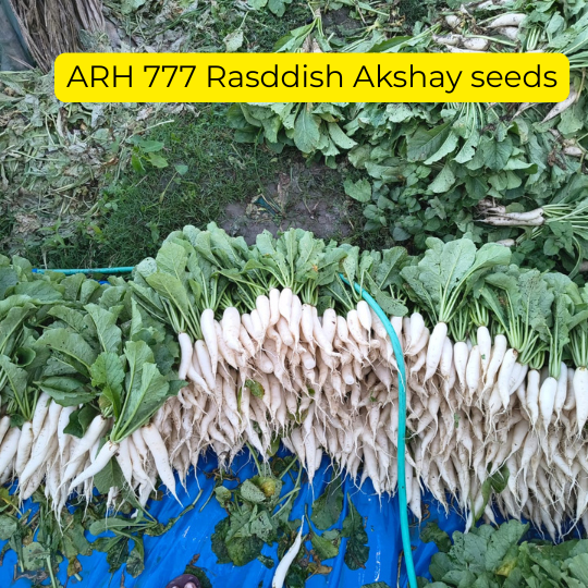 ARH-777-images-for-website-004