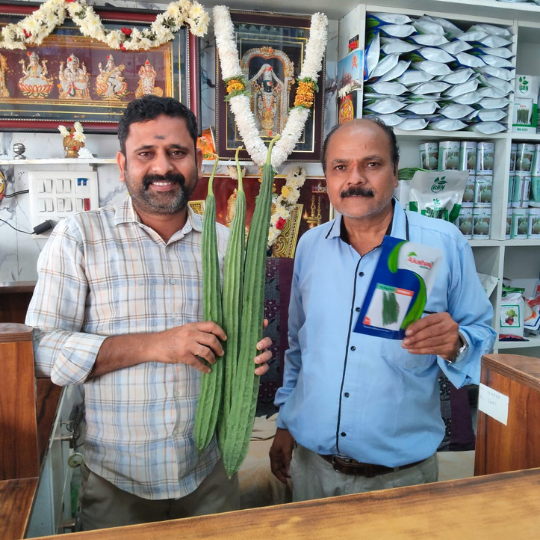 Bhairav-ridge-gourd-images-for-website-005