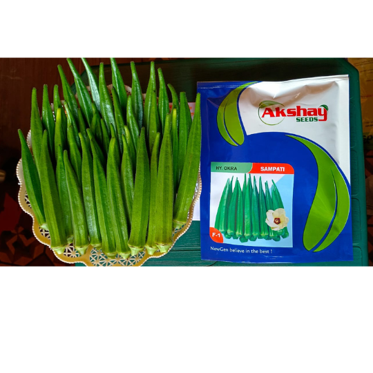 Okra-sampati-image-for-website-001