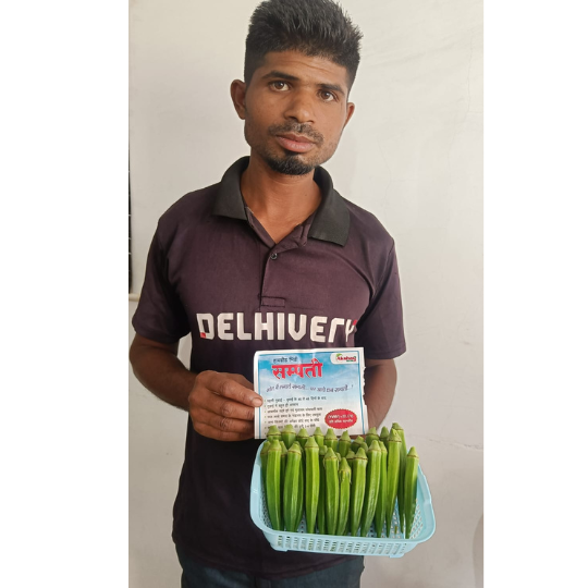Okra-sampati-image-for-website-003