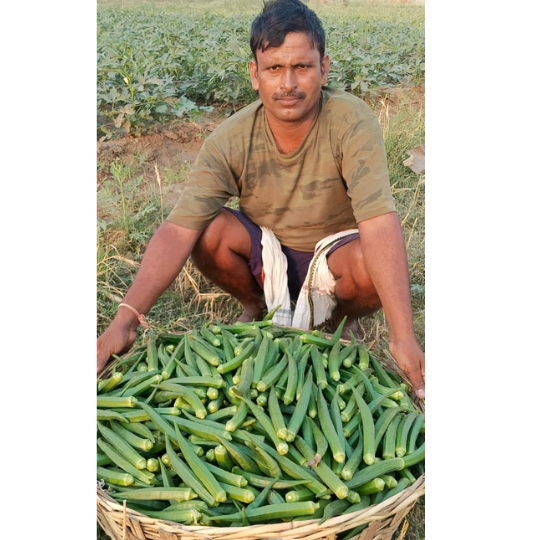 Okra-vikram-image-for-website-001