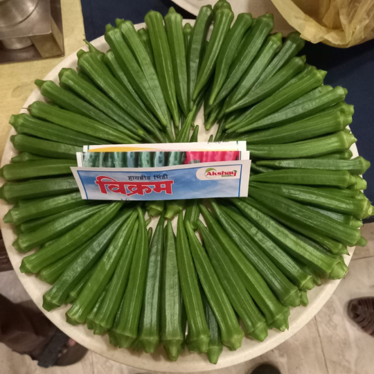 Okra-vikram-image-for-website-002