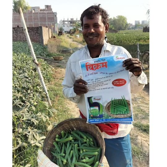 Okra-vikram-image-for-website-006