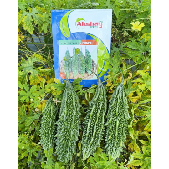 PRAPTI-bitter-gourd-website-image-001
