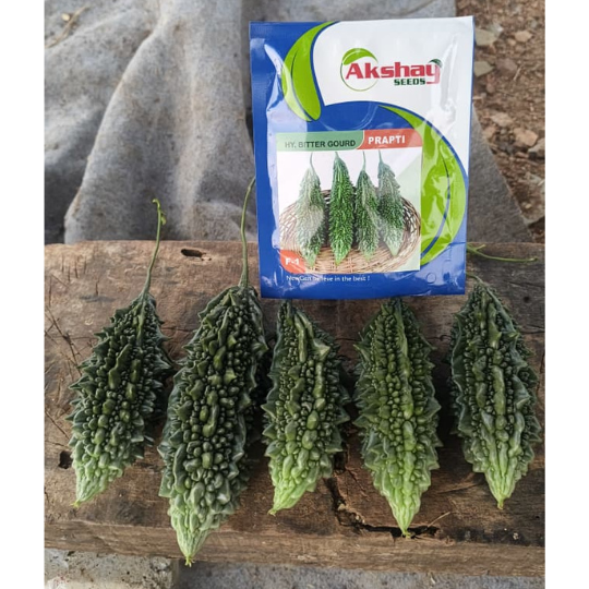 PRAPTI-bitter-gourd-website-image-002