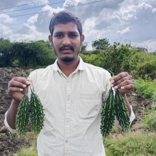 PRAPTI-bitter-gourd-website-image-003