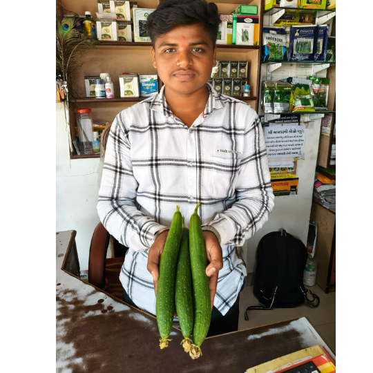 RINA-sponge-gourd-image-website-004