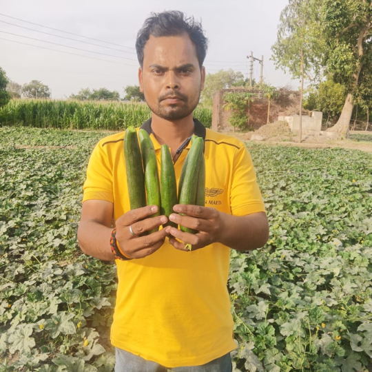 RINA-sponge-gourd-image-website-005