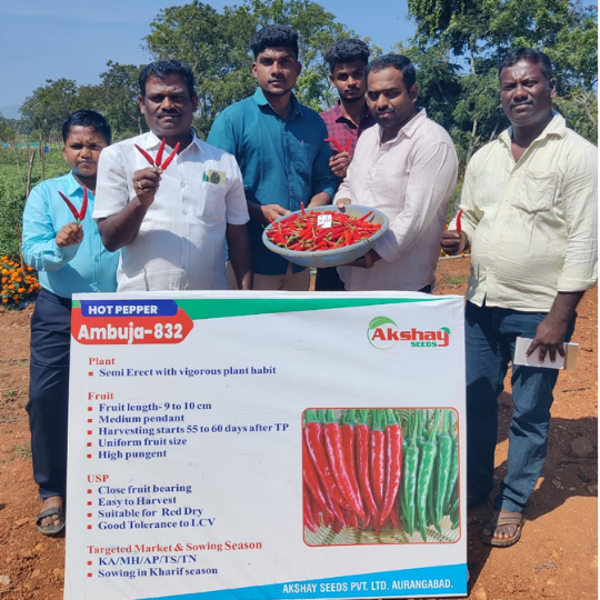 ambuja-chilli-image-002