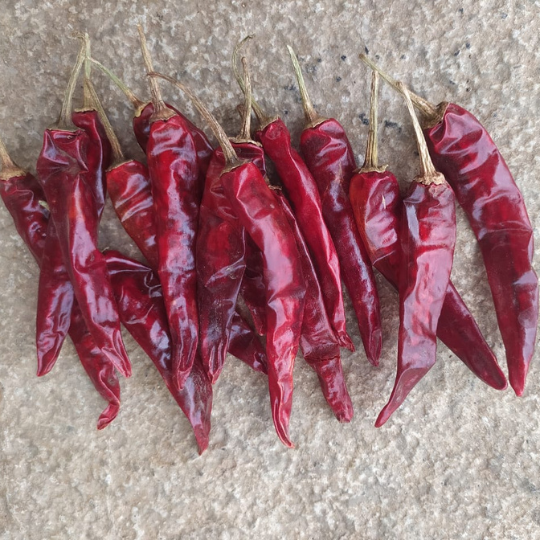 ambuja-chilli-image-006