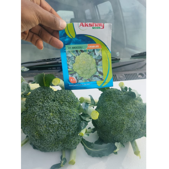 charles-brocolli-website-001