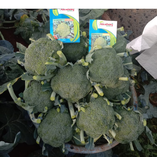 charles-brocolli-website-006