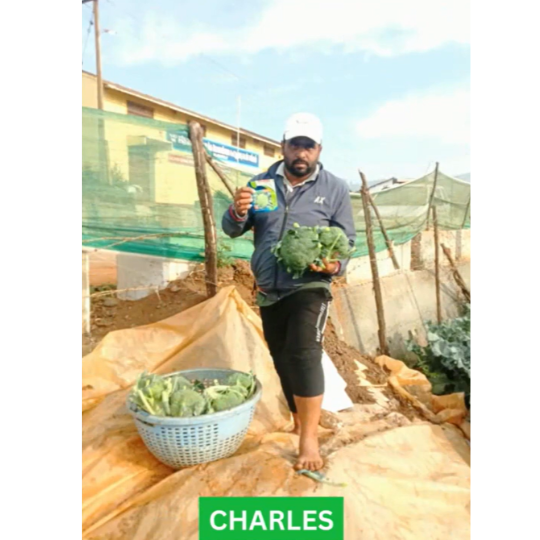 charles-brocolli-website-007