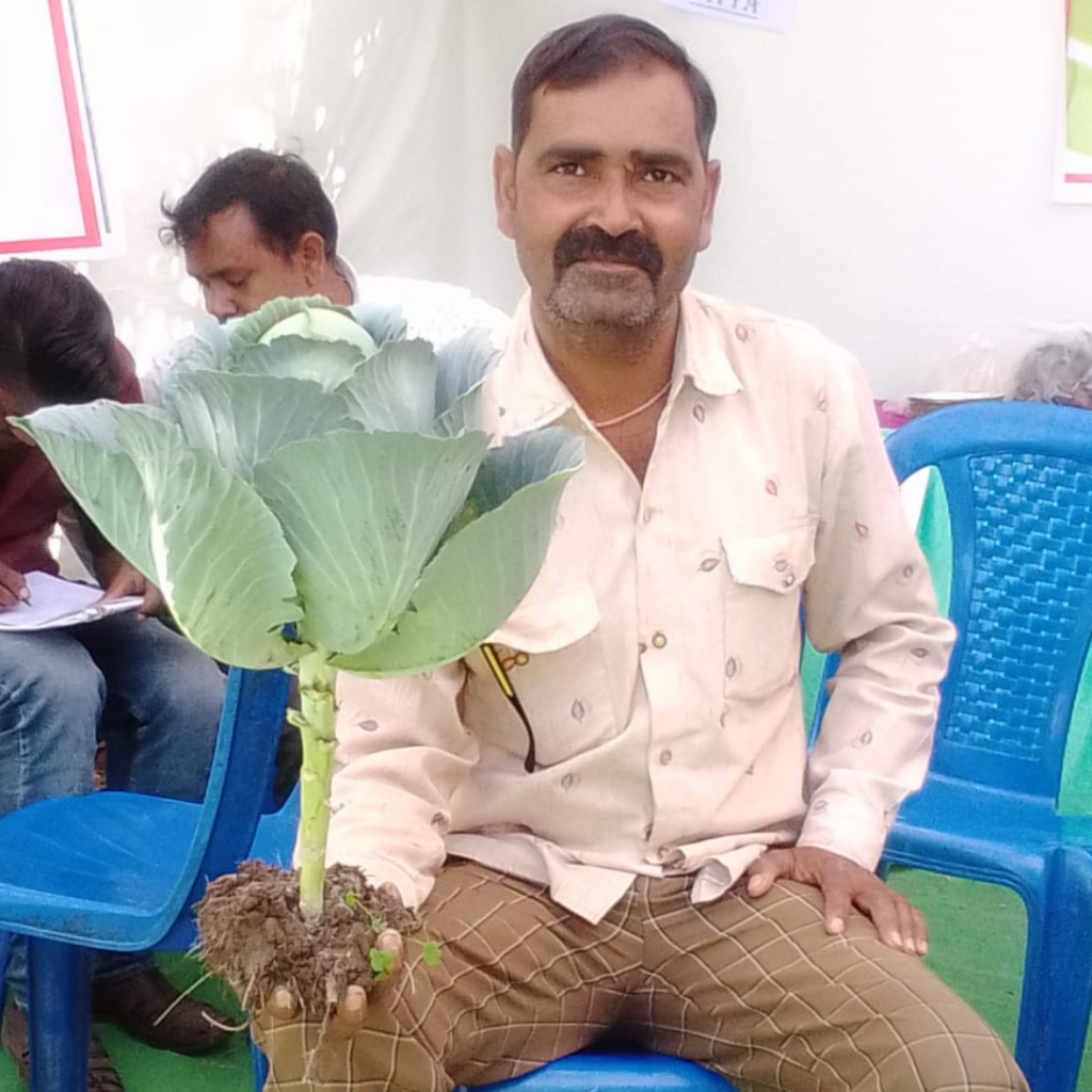 divya-cabbage (1)