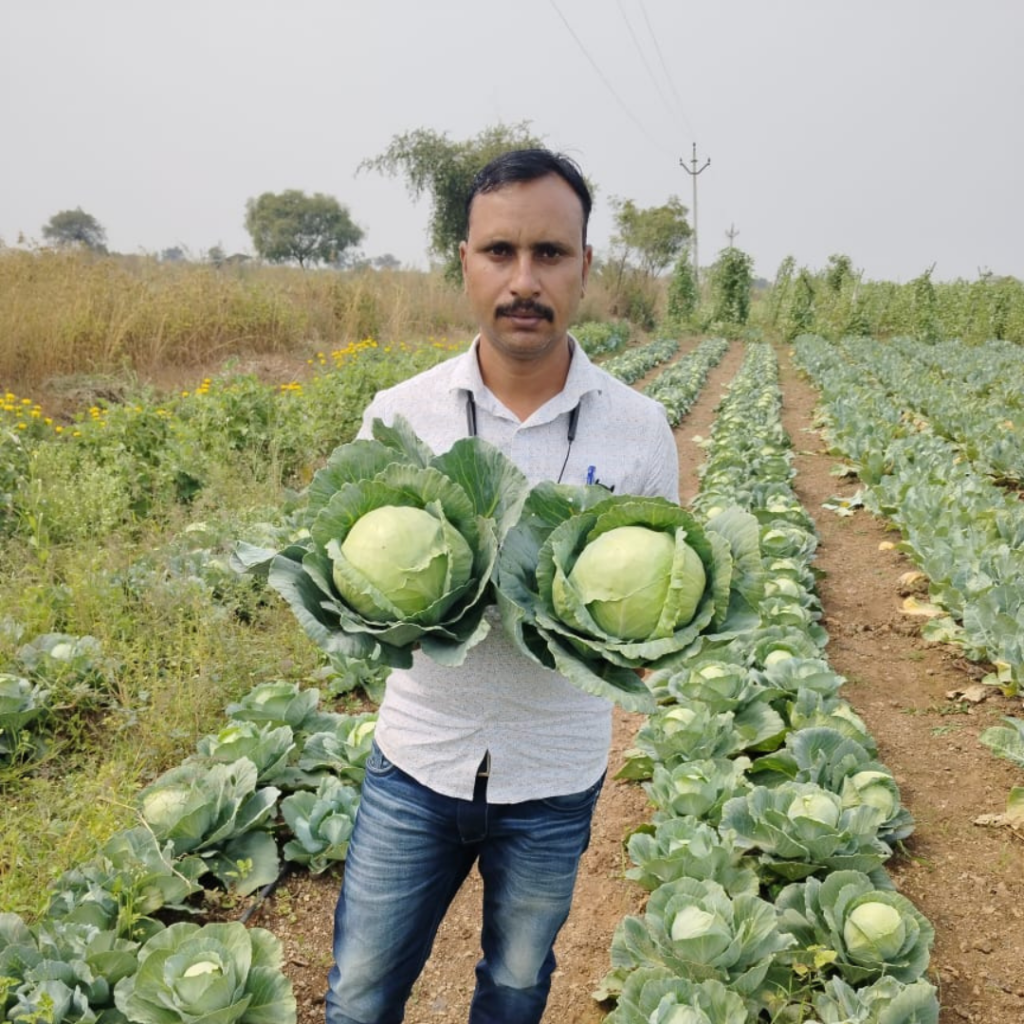 divya-cabbage (5)