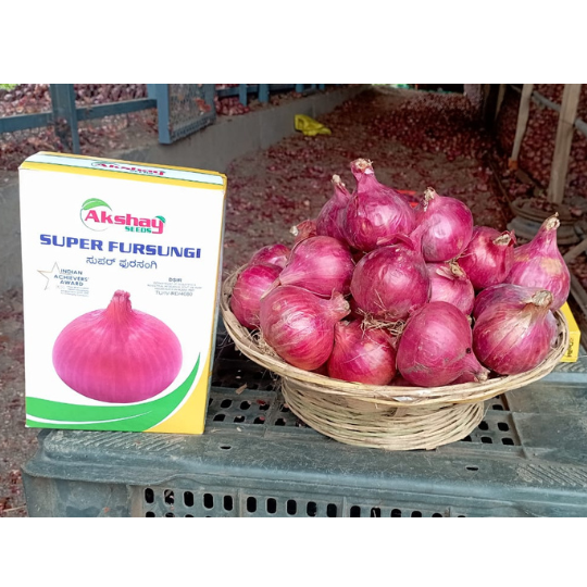fursungi-onion-for-website-001