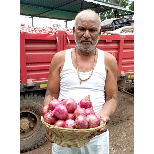 fursungi-onion-for-website-002