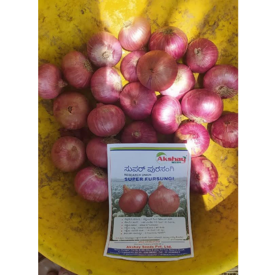 fursungi-onion-for-website-005