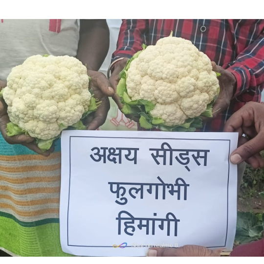 himangi-cauliflower-003