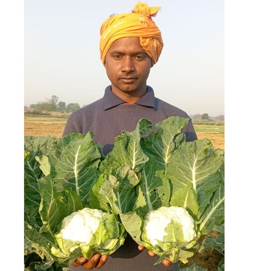 himangi-cauliflower-004